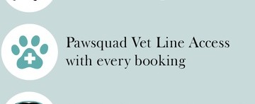 ** How Accurate Are PET Scans? A Comprehensive Guide to Understanding Their Precision and Reliability