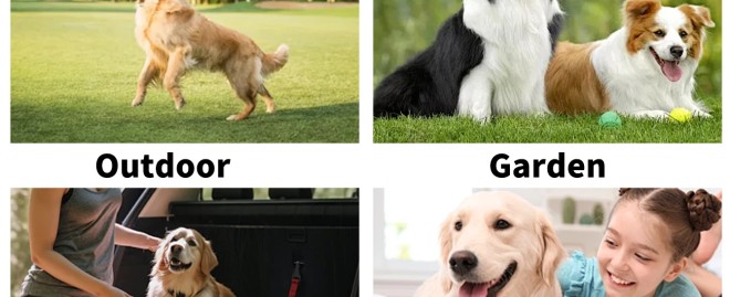 ### Creative Pet Names for Best Friend: A Guide to Finding the Perfect Moniker