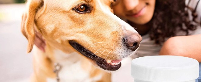  Discover the Best Pet Supplies Plus Florence: Your One-Stop Shop for All Pet Needs!