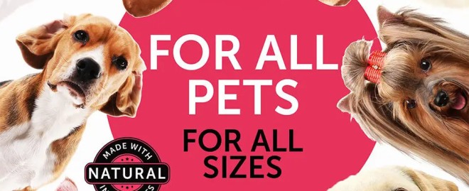  Indulge Your Furry Friends with Premium Nutrition from Pets Deli: The Ultimate Guide to Pet Wellness