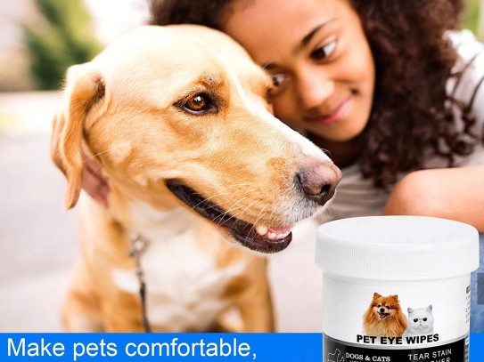  Discover the Best Pet Supplies Plus Florence: Your One-Stop Shop for All Pet Needs!