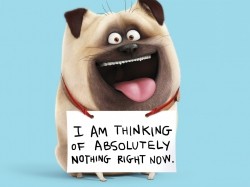 Secret Life of Pets 2: A Journey with the Cast of Star-Studded Characters