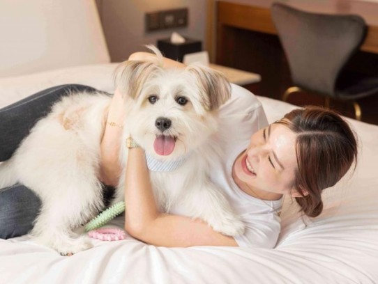  Discover the Best Pet Friendly Hotels in Chelan, WA for Your Perfect Getaway