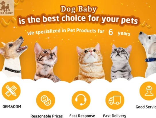 ## Discover the Best Products at English Creek Pet Supply: Your One-Stop Shop for Happy Pets