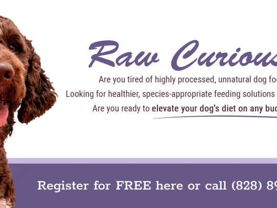  Discover the Best Pet Shot Clinic Near Me for Your Furry Friends' Health